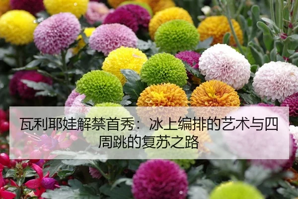 wa-li-ye-wa-jie-jin-shou-xiu-bing-shang-bian-pai-de-yi-shu-yu-si-zhou-tiao-de-fu-su-zhi-lu-2-860.jpg