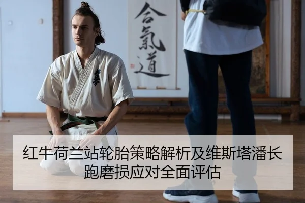 红牛荷兰站轮胎策略解析及维斯塔潘长跑磨损应对全面评估