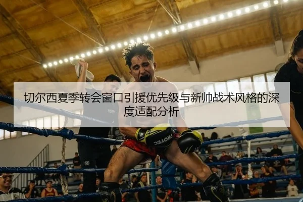 切尔西夏季转会窗口引援优先级与新帅战术风格的深度适配分析